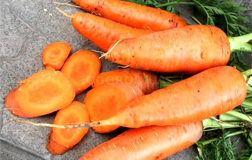 Вкусная морковка