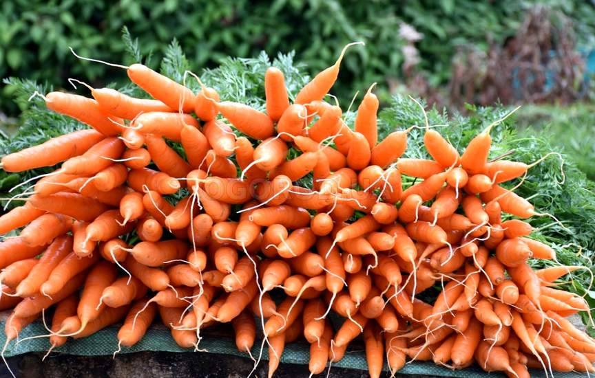 Вкусная морковка