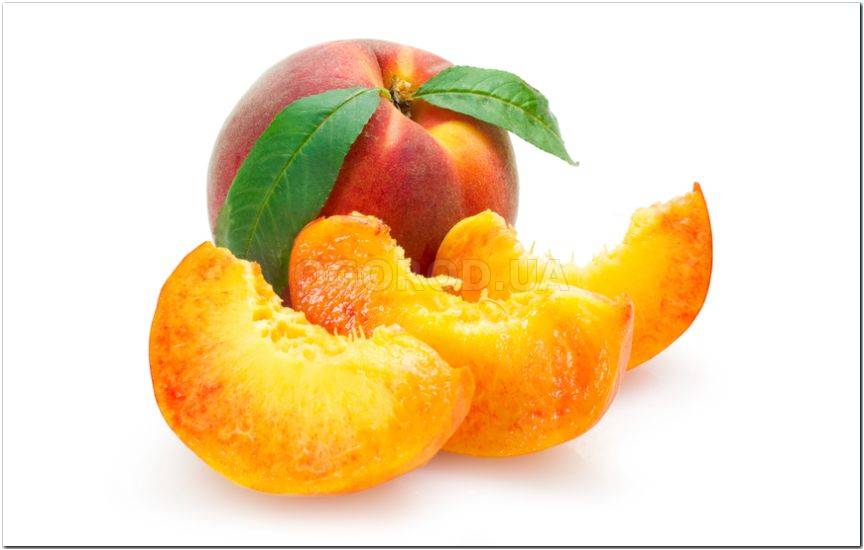 Особенности выращивания персика