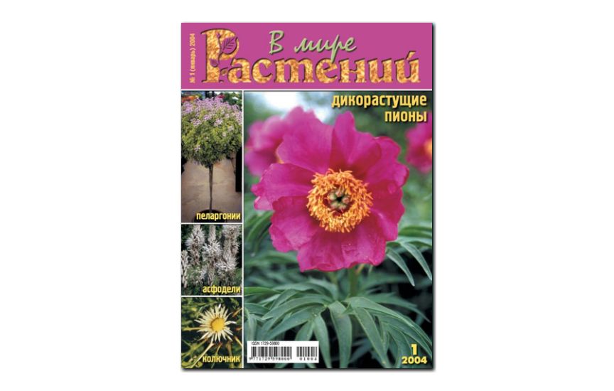 №1(2004) - Журнал - «В мире растений»