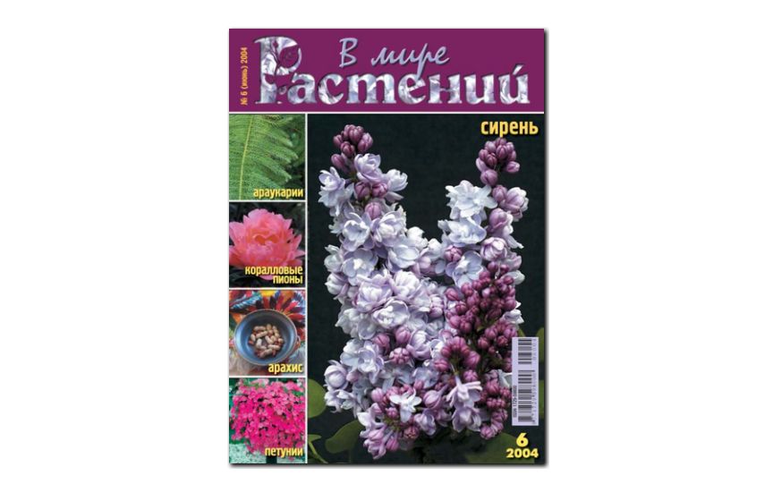 №6(2004) - Журнал - «В мире растений»