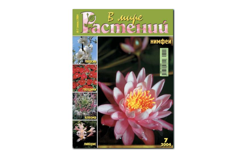 №7(2004) - Журнал - «В мире растений»