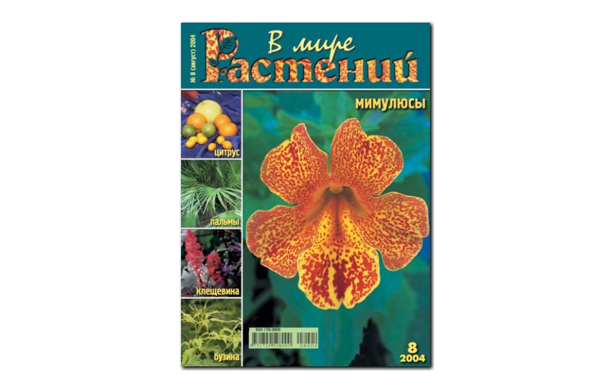 №8(2004) - Журнал - «В мире растений»