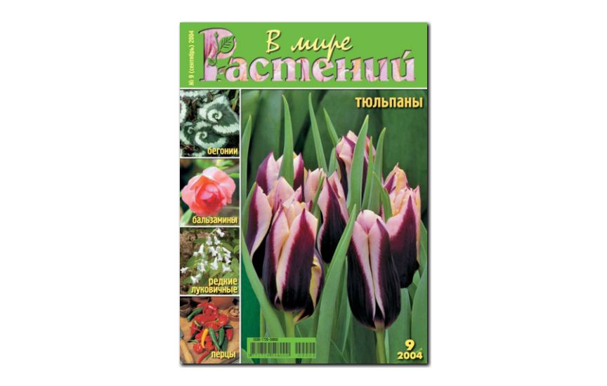 №9(2004) - Журнал - «В мире растений»