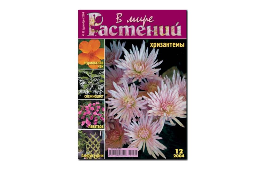 №12(2004) - Журнал - «В мире растений»