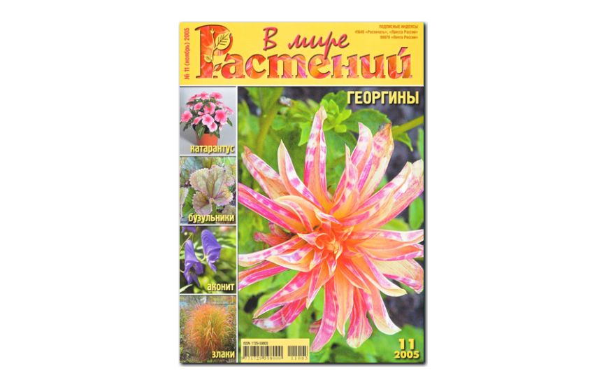 №11(2005) - Журнал - «В мире растений»