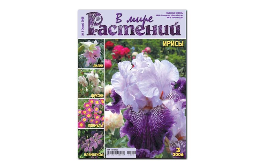 №3(2006) - Журнал - «В мире растений»