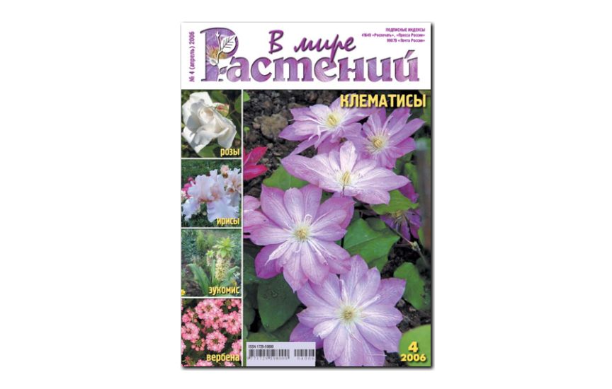 №4(2006) - Журнал - «В мире растений»