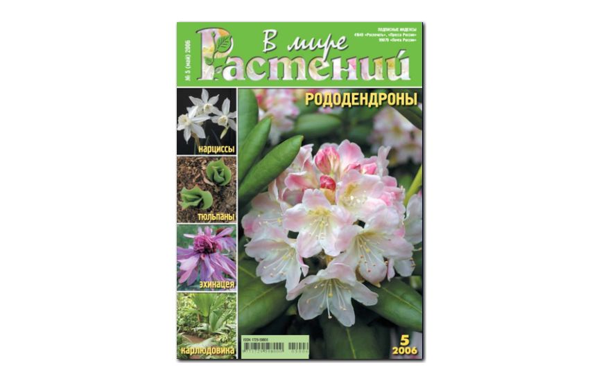 №5(2006) - Журнал - «В мире растений»