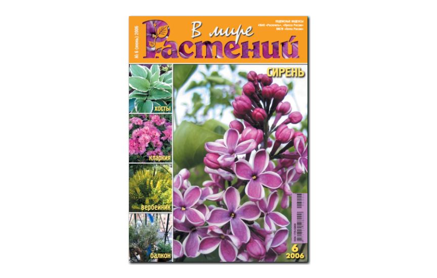 №6(2006) - Журнал - «В мире растений»