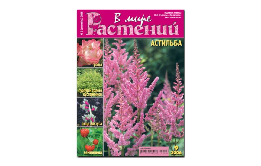 №9(2006) - Журнал - «В мире растений»