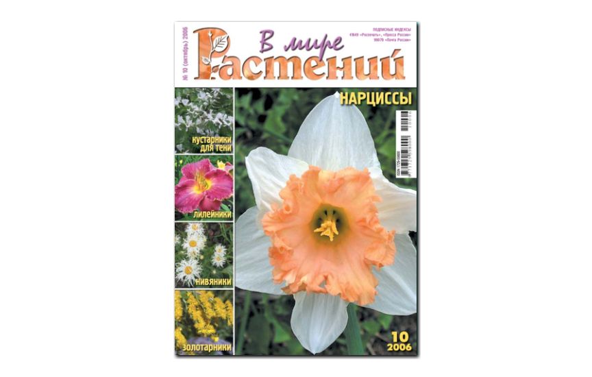 №10(2006) - Журнал - «В мире растений»
