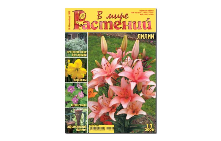 №11(2006) - Журнал - «В мире растений»