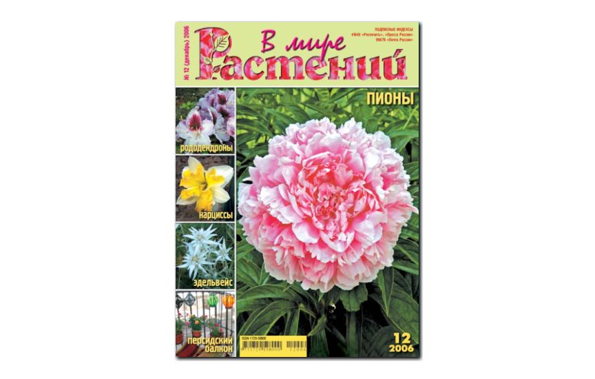 №12(2006) - Журнал - «В мире растений»