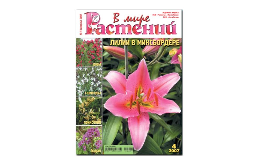 №4(2007) - Журнал - «В мире растений»