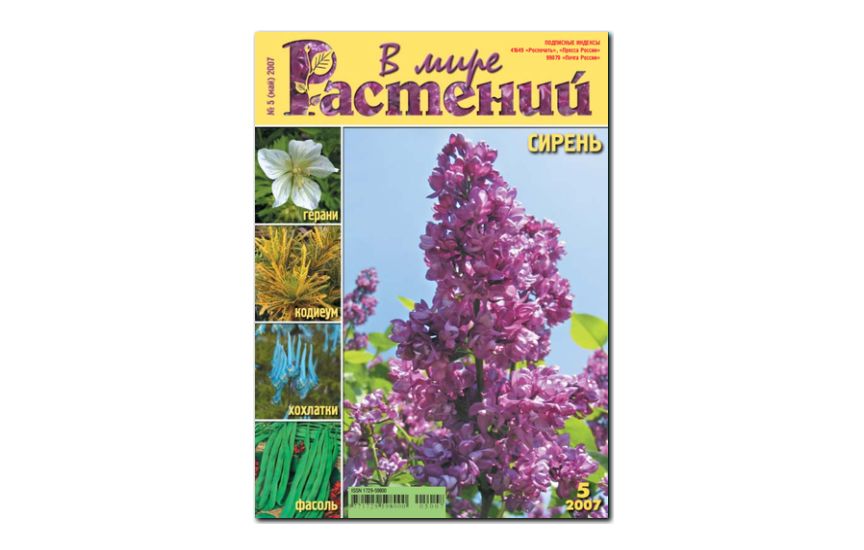 №5(2007) - Журнал - «В мире растений»