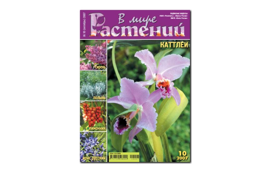 №10(2007) - Журнал - «В мире растений»