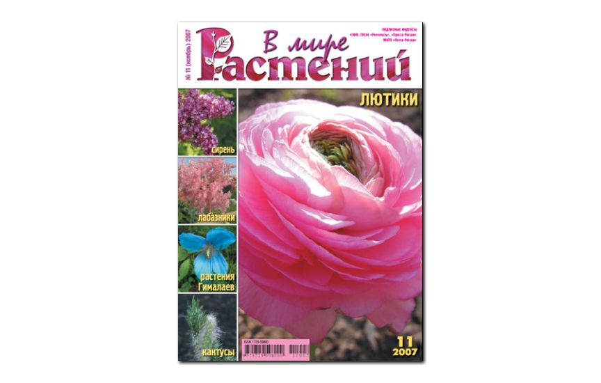№11(2007) - Журнал - «В мире растений»