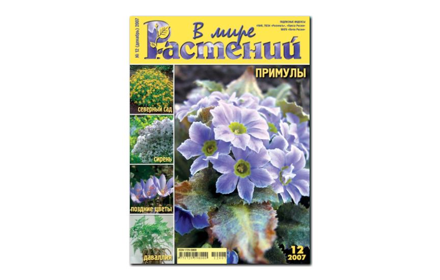 №12(2007) - Журнал - «В мире растений»