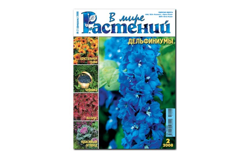 №2(2008) - Журнал - «В мире растений»