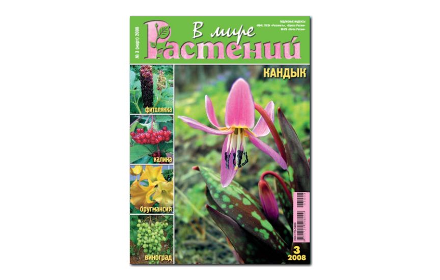 №3(2008) - Журнал - «В мире растений»