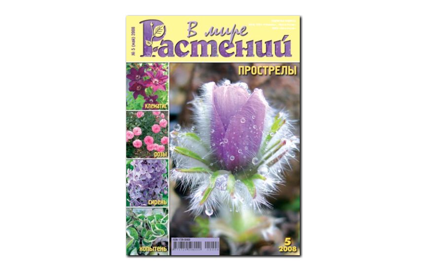 №5(2008) - Журнал - «В мире растений»