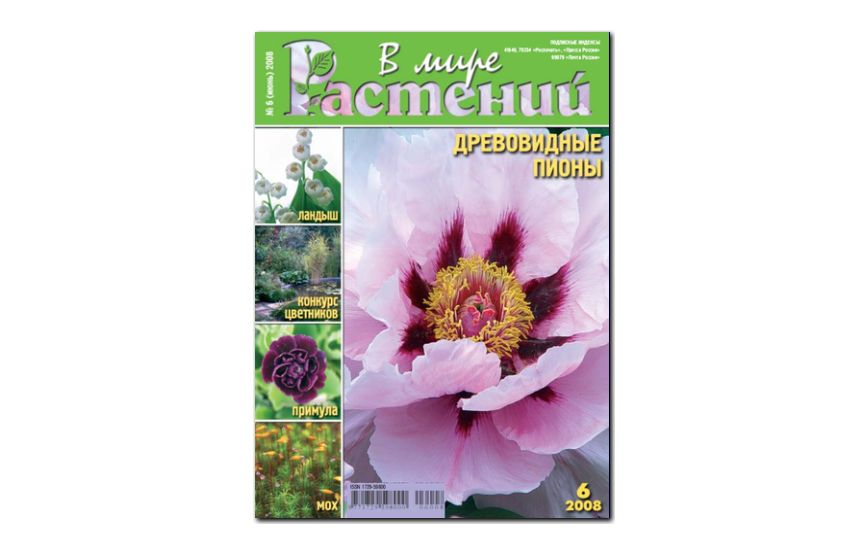№6(2008) - Журнал - «В мире растений»