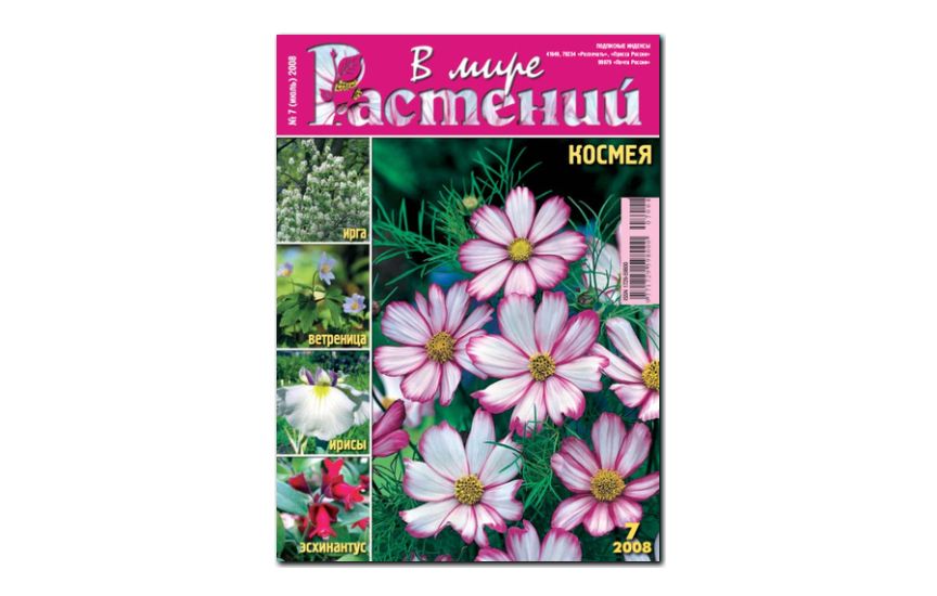 №7(2008) - Журнал - «В мире растений»