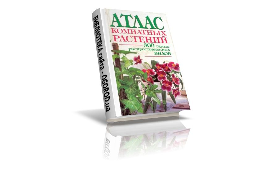 «Атлас комнатных растений», Лимаренко Л.Ю., Палеева Т.В., (2003)
