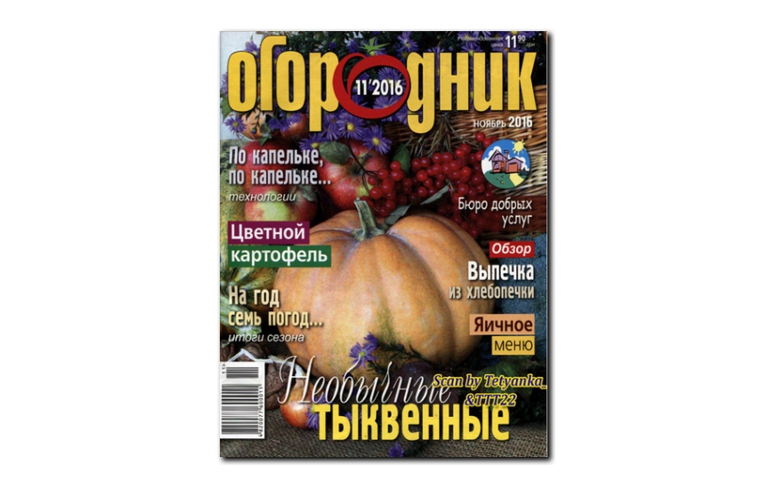 №11(2016) - Журнал «Огородник»