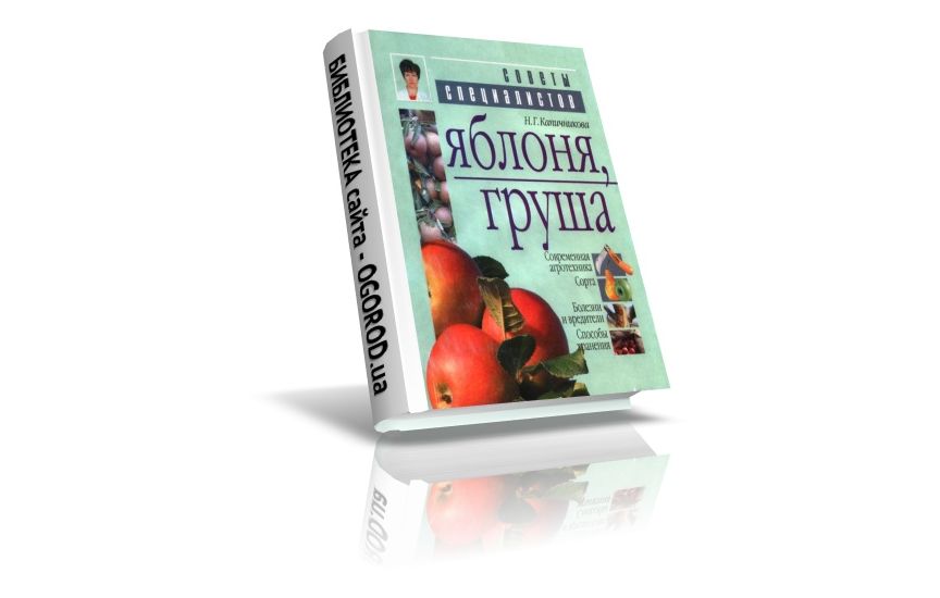 «Яблоня, груша», Капичникова Н.Г., (2005)