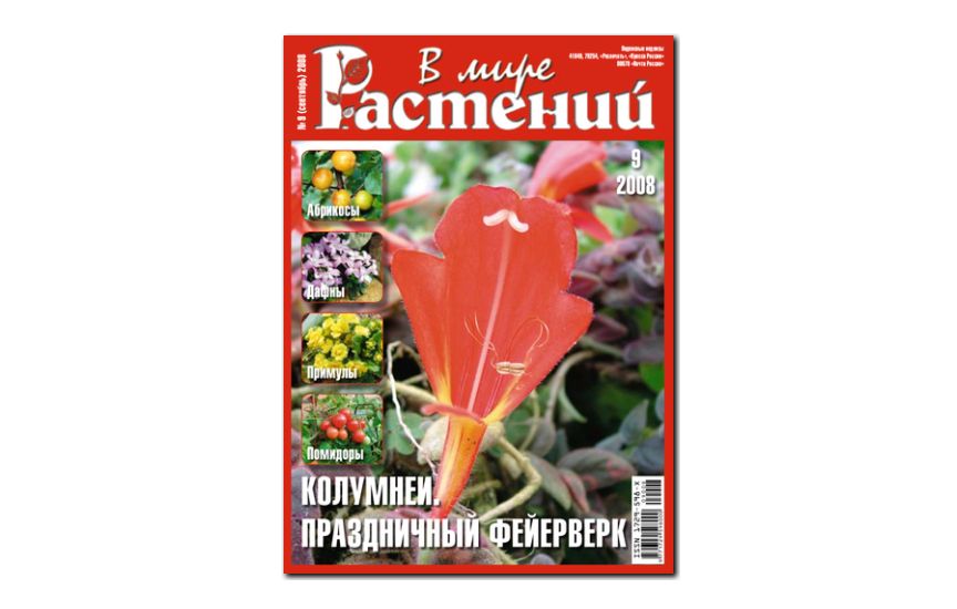 №9(2008) - Журнал - «В мире растений»