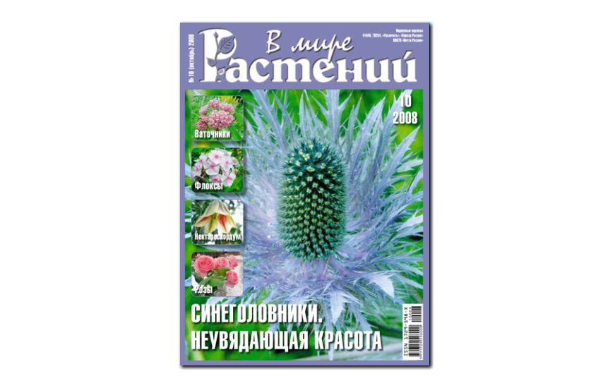 №10(2008) - Журнал - «В мире растений»