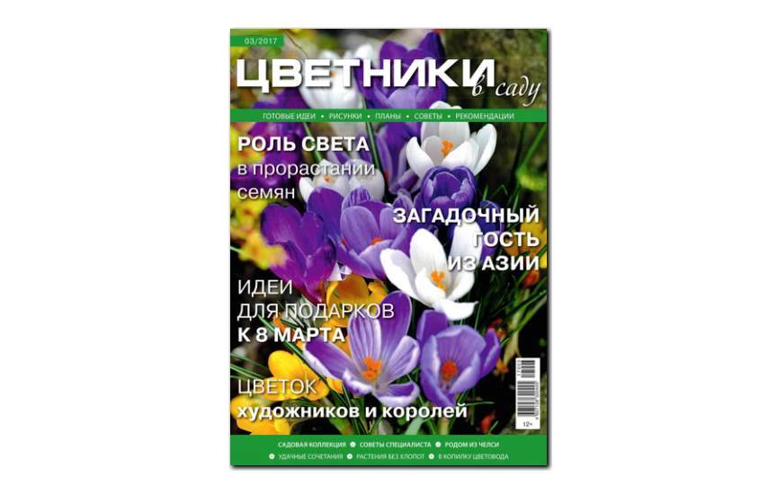 №3(2017) - Журнал «Цветники в саду»