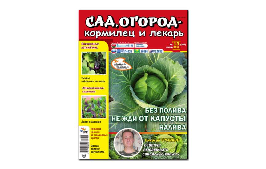 №8(2017) - Журнал «Сад, огород - кормилец и лекарь»