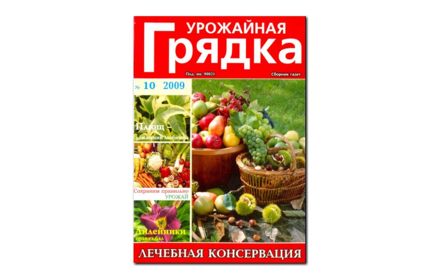 №10(2009) -  Журнал «Урожайная грядка»