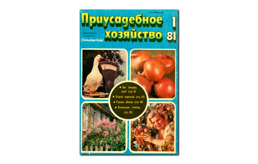 №01(1981) - Журнал «Приусадебное хозяйство»