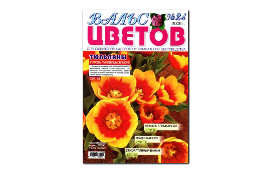 №24(2006) - Журнал «Вальс цветов»