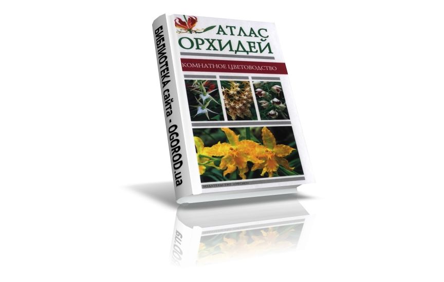 «Атлас орхидей», Крупичева И., (2004)