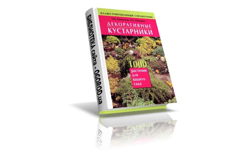 «Декоративные кустарники», Коновалова Т.Ю., Шевырева Н.А., (2004)