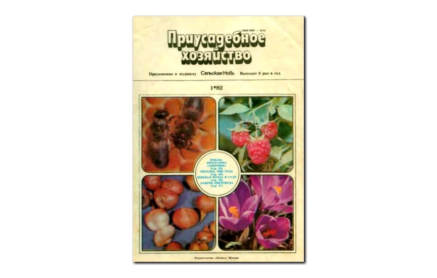 №01(1982) - Журнал «Приусадебное хозяйство»