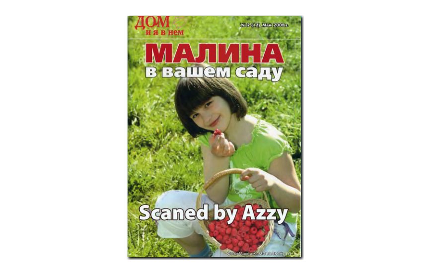 №02(2008) - Журнал «Дом и я в нем»
