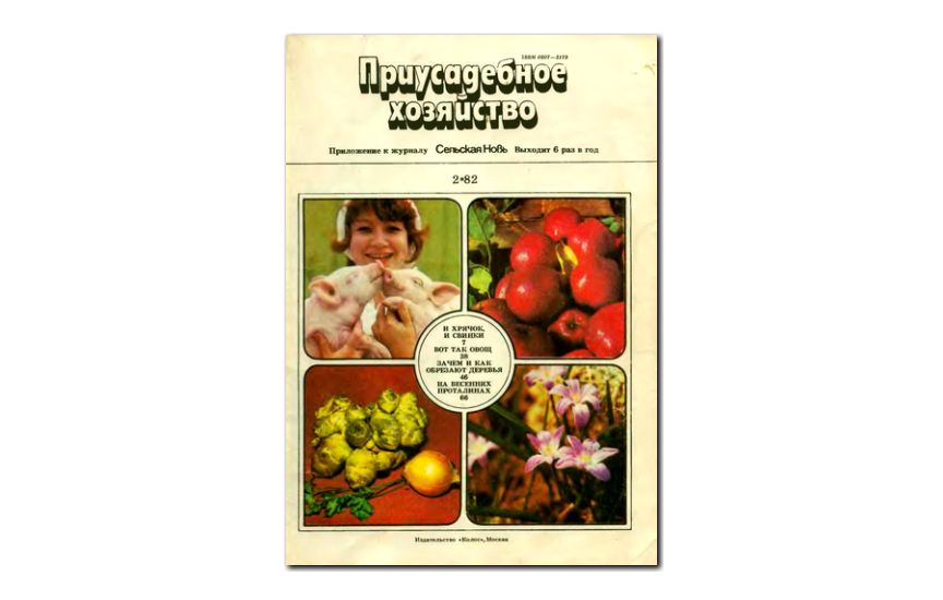 №02(1982) - Журнал «Приусадебное хозяйство»