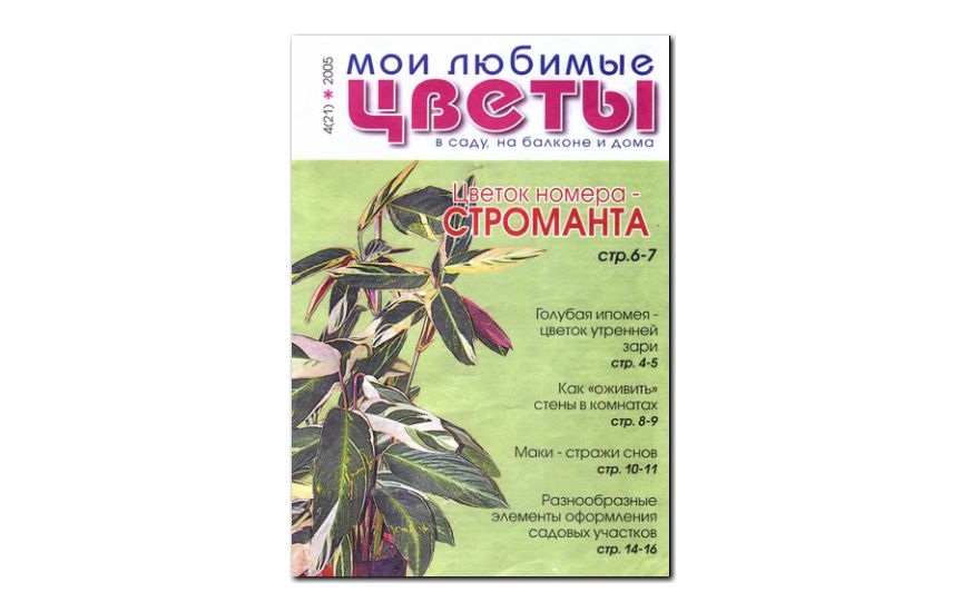 №04(2005) - Журнал «Мои любимые цветы»