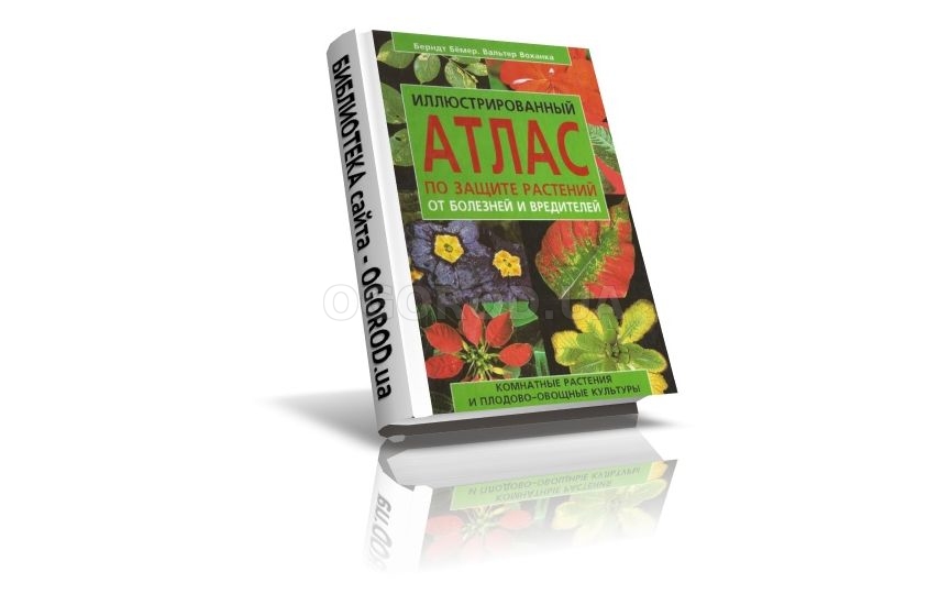 Атлас болезней и вредителей хвойных. Определитель хвойных растений по фото. Болезни и вредители хвойных растений атлас-определитель. Вредители хвойных растений фото и описание. Трейвас болезни и вредители роз хвойных.