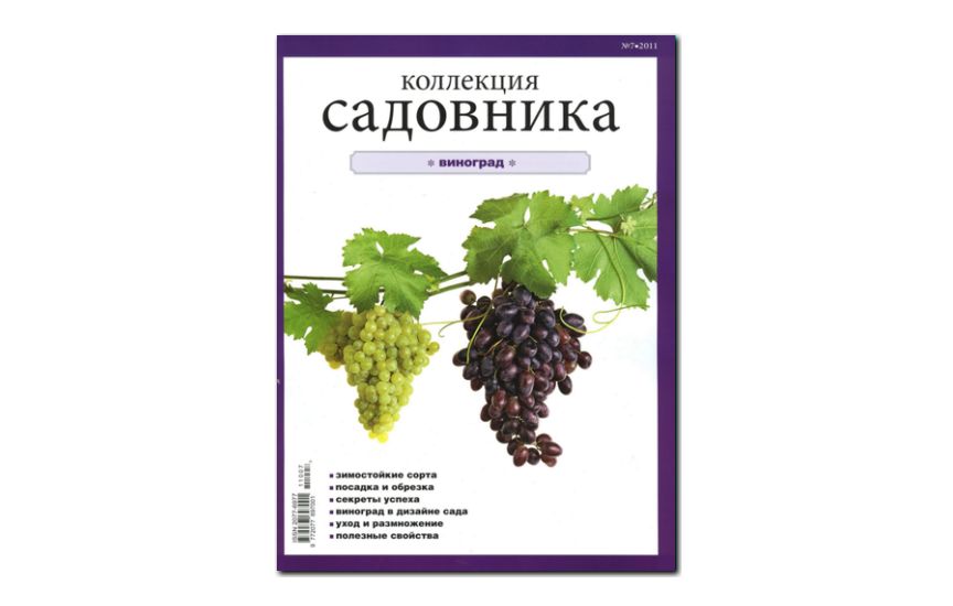 №07(2011) - Журнал «Коллекция садовника»