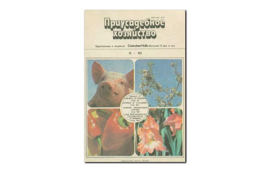 №06(1982) - Журнал «Приусадебное хозяйство»