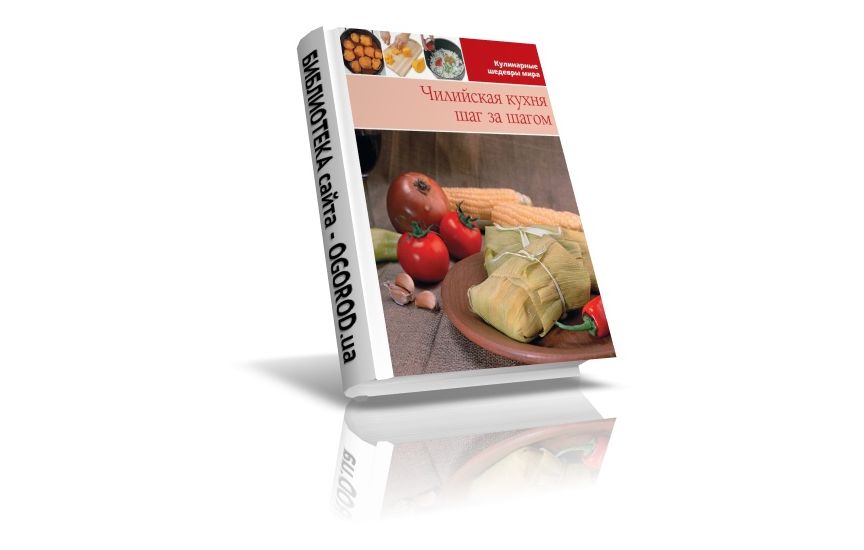 «Кулинарные шедевры мира» - Чилийская кухня, Коллектив (автор) - (2013)