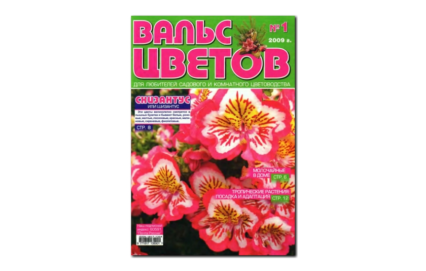 №01(2009) - Журнал «Вальс цветов»