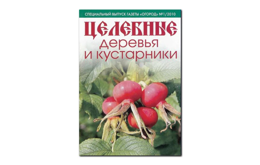 №01(2010) - Журнал «Огород», св Целебные деревья и кустарники